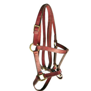 Bozal haras de suela con herraje de bronce